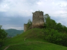 Bologa Fortress